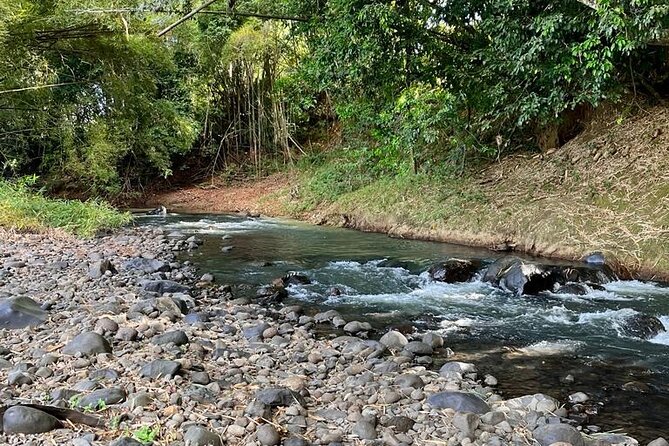 Small Train Tour of a Banana Farm in Martinique - Tour Duration and Schedule