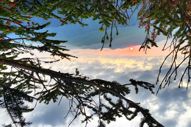 Smoky Mountain Guided Scenic High Van Tour - Highlights of the Experience