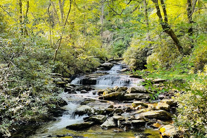 Smoky Mountains Newfound Gap Jeep Tour - Cancellation Policy