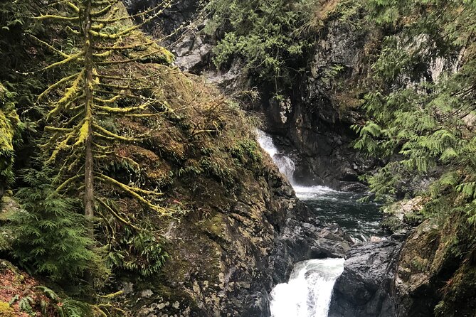 Snoqualmie Falls and Twin Falls Hike - Reviews and Feedback