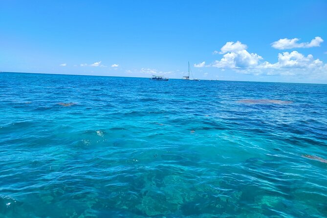 Snorkel Adventure at Looe Key - Tips for a Great Experience