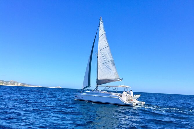 Snorkel Adventure Through the Sea of Cortez - Whats Included