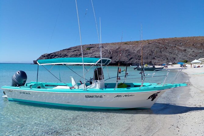 Snorkel With Whale Sharks Includes Equipment & Transportation - Health and Safety Guidelines