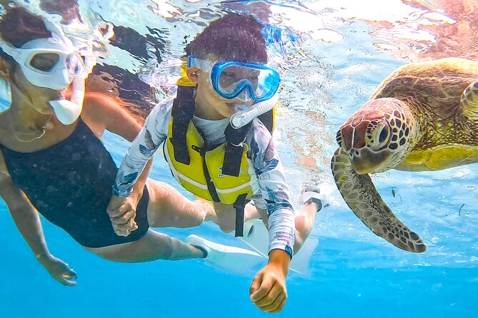 Snorkeling Activity in Okinawa Miyako Japan - Activity Inclusions and Pricing