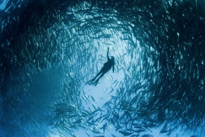 Snorkeling Tour at Lands End in Cabo San Lucas - Requirements for Participants