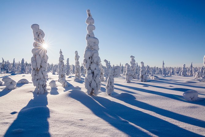 Snow Adventure Day From Kemi - Booking Process