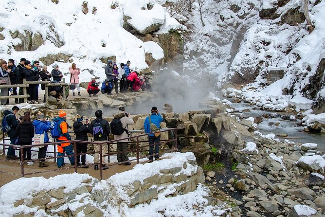 Snow Monkey and Obuse From Nagano - Taking in Local Culinary Delights