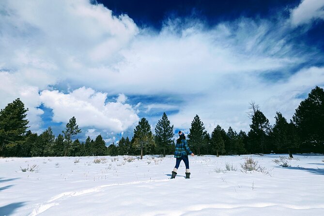 Snowshoe Tour Big Bear Lake Review - Booking and Reviews