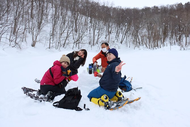 Snowshoe Tours in Niseko Explore Beautiful Snowscapes Adventure - Exploring Nisekos Enchanting Landscapes