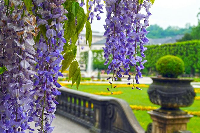Sound of Music Locations in Salzburg - a Private Tour With a Local - Participant Requirements