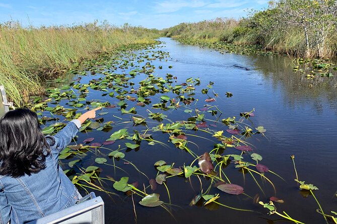 SOUTH BEACH: Everglades Airboat, Wildlife Show With Transfer - Transportation and Meeting Details