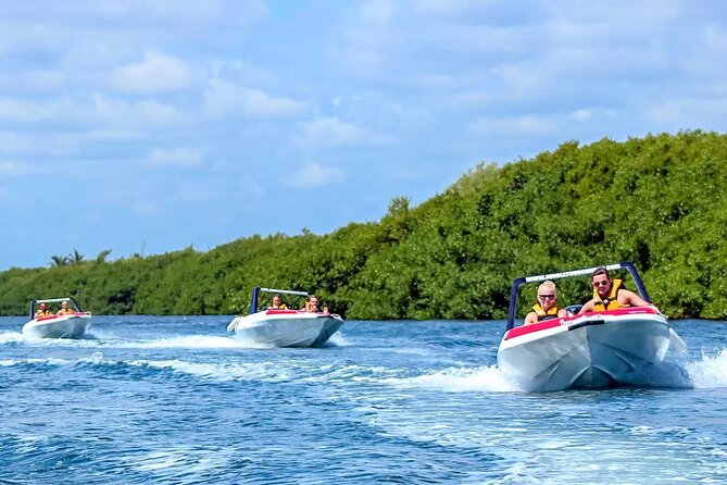 SpeedBoat Jungle Tour + Snorkel Experience in Cancun - Customer Reviews and Feedback