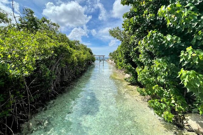 Speedboat Tour to Toro Beach and Turtle Sanctuary - Small Group - Pickup and Drop-off