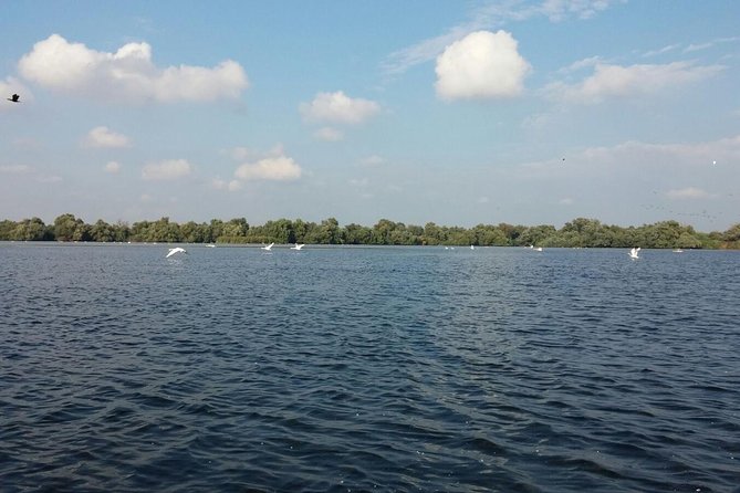 Sport Fishing in Delta Dunarii With Camely Cruise Boat. - Fishing Experience Highlights