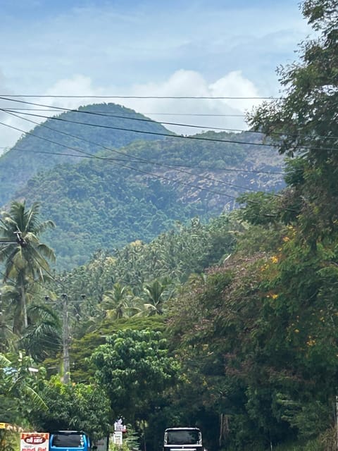 Sri Lanka Natural Beauty and Culture - Itinerary Highlights