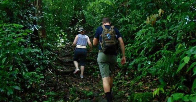 Sri Lankas Spectacular 7-Day Hideaway Experience - Itinerary Highlights