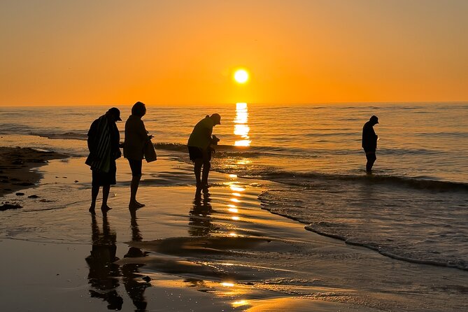 St. Pete Dolphin Watching and Island Sunset Cruise - Wildlife and Activities