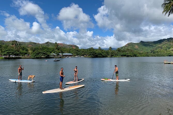 Stand Up Paddle Rental- Wailua River to Secret Falls - User Reviews and Feedback