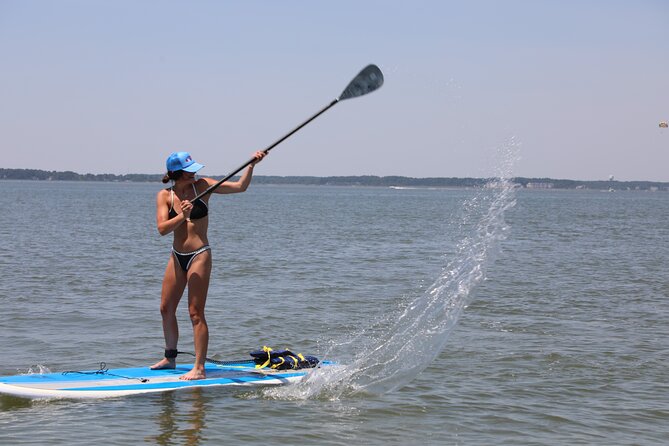 Stand Up Paddleboard Rentals Review - Overview of Stand Up Paddleboard Rentals