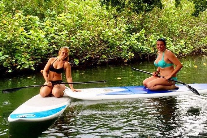 Stand-Up Paddleboarding Adventure - Exploring the Serene Waters