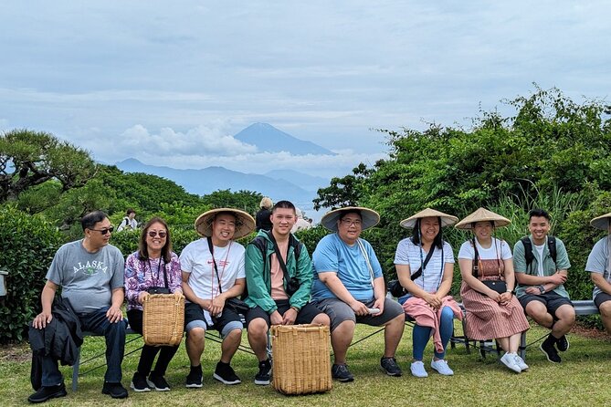 Step-Free Easy Going Tour From Shimizu Port / Van Taxi - Pricing and Cancellation Policy