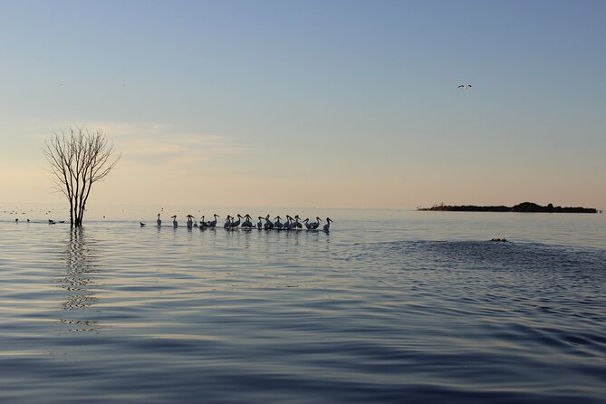 Strawberry Islands Scenic Boat Tour and Historic Cottage Row - Embracing the Great Outdoors