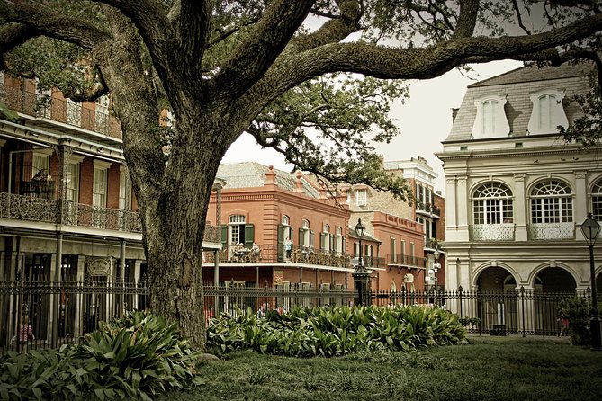 Struttin Down Royal Street Walking Tour Review - The Sum Up