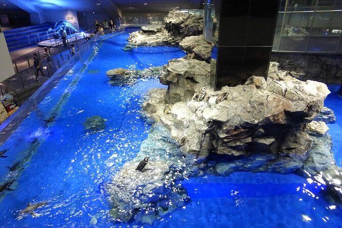 Sumida Aquarium Ticket Tokyo - Booking and Confirmation