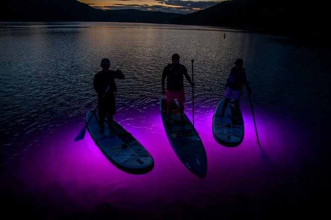 Sunset and Light up Stand-Up Paddle With a Certified Guide - Meeting and End Points