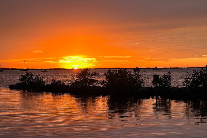 Sunset Cruise in Key Largo: Review - Accessibility and Participation Requirements
