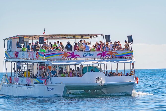 Sunset Dinner Cruise With Tequila & Tacos - Meeting and Pickup Details