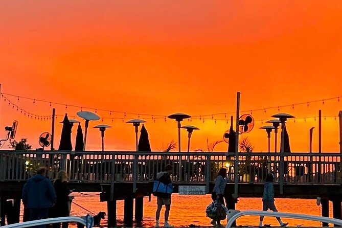 Sunset Dolphin Cruise in Hilton Head - Scenery and Dolphin Sightings
