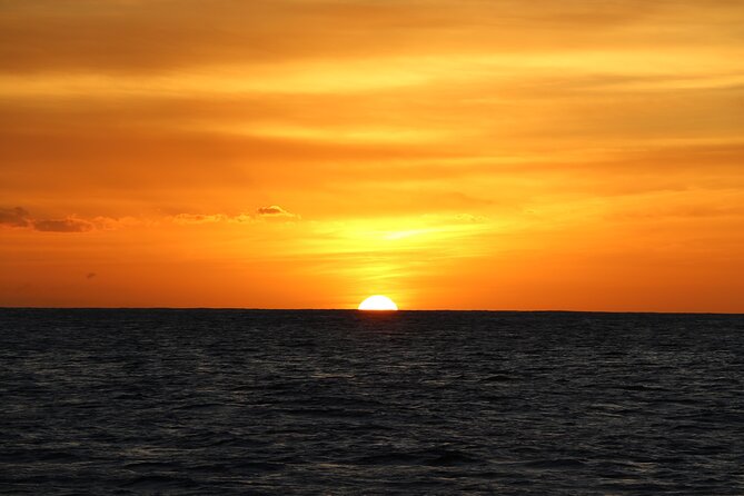 Sunset Dolphin Watch Cruise Review - Booking Information