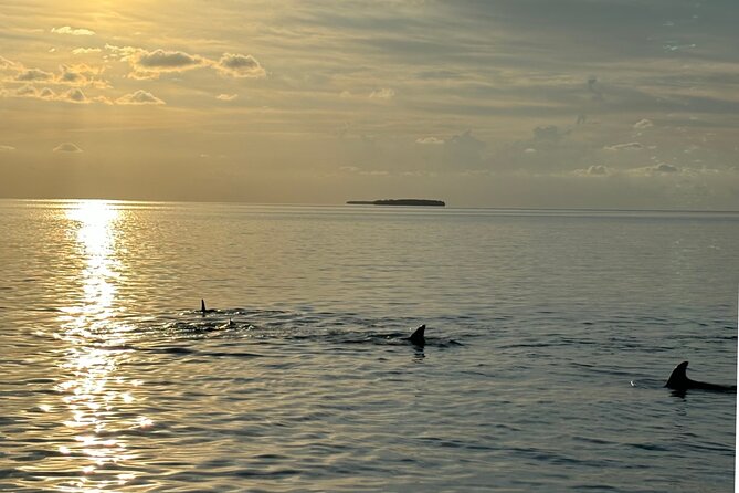 Sunset Powerboat Cruise Review: An Unforgettable Experience - Observing the Breathtaking Sunset