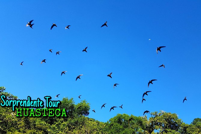 Swallow Show, Tamul Waterfall by Canoe and Cenote Cueva Del Agua - Inclusions and Amenities