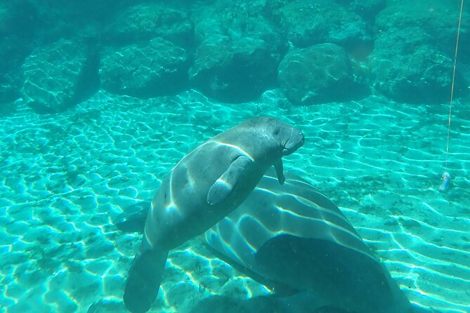 Swim With Manatees In Crystal River, Florida - Navigating the Crystal River Waterways