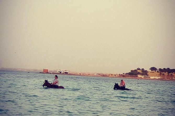 Swimming By Horse in Red Sea, Horse Riding Sea & Desert-Hurghada - Booking Process and Options