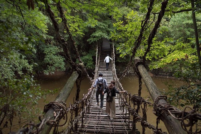 Takamatsu Half-Day Private Tour With Government-Licensed Guide - Customizable Itinerary Options