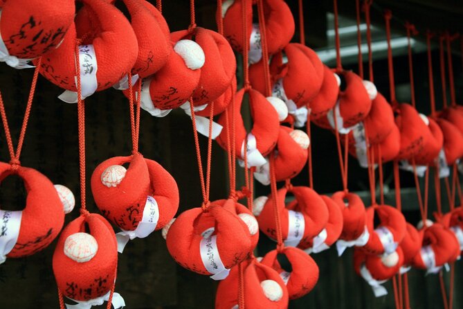 Takayama Full Day Tour (Private Guide) - Accessibility and Participation