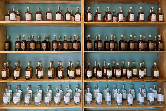 Taste the Spirits of Mexico: Tequila & Mezcal Tasting - Tequila Tasting Insights