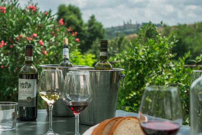 Tasting of Vernaccia, Chianti and Extra Virgin Olive Oil - Accessibility and Participation
