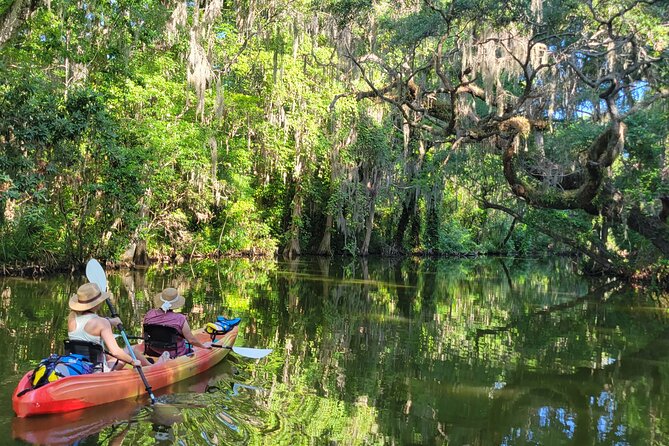 Tavares Poppys Sweet Paddle Adventure Review - Physical Requirements and Accessibility
