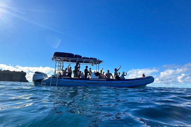 The Best 2 Hour Molokini Express Snorkeling - Equipment Provided