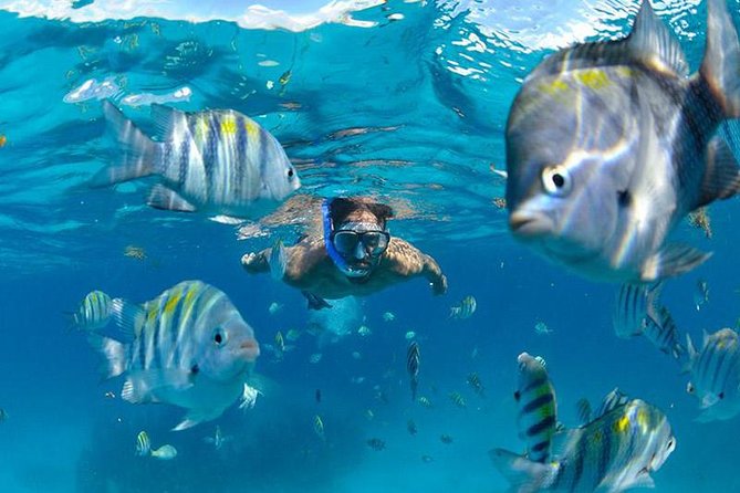 The Best Catamaran Tour to Isla Mujeres From Cancún - Participant Guidelines and Restrictions