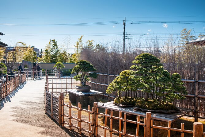 The Best Of Saitama Walking Tour - Cultural Immersion at Taiken-ya Workshop