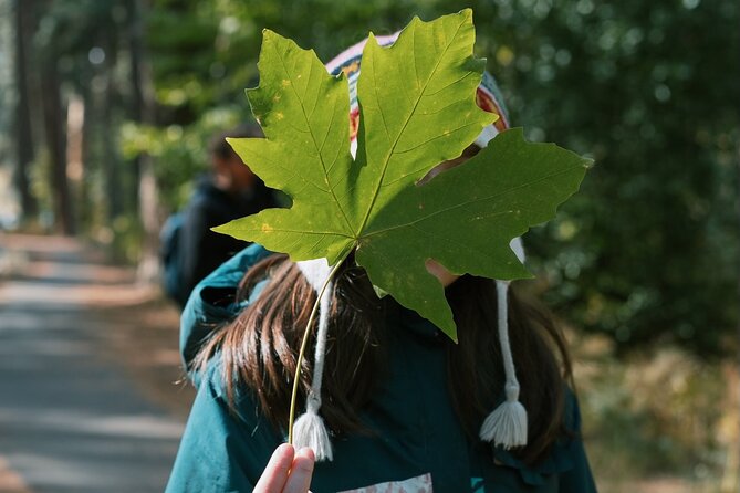 The Evolution of Yosemite Naturalist Walking Tour - Enhancements Over the Years