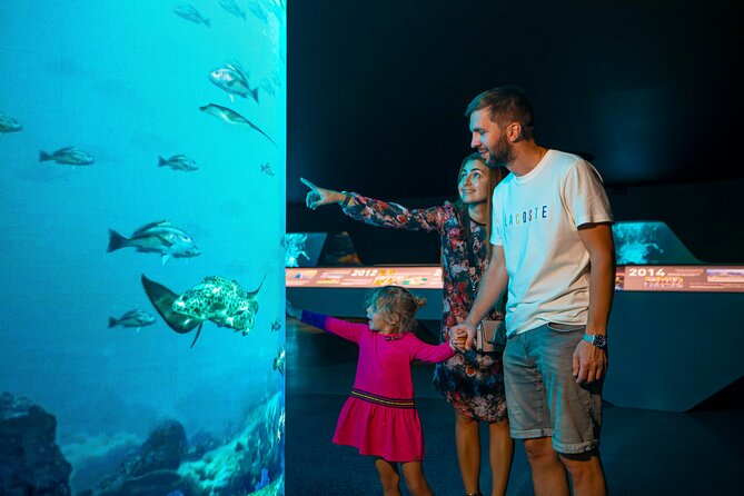 The View at The Palm-General Experience - Visitor Reviews