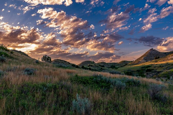 Theodore Roosevelt National Park Audio Tour Guide Review - Pricing and Reservations