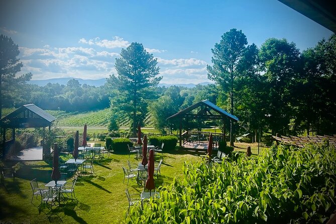 Three Vineyards Half Day Private Wine Tour From Asheville - Age Restrictions