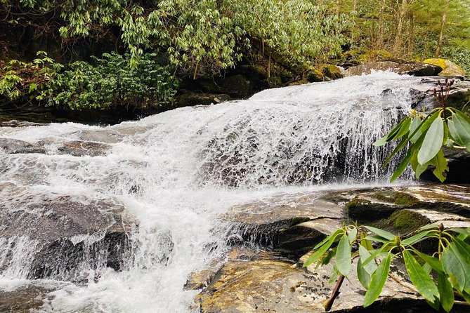 Thundering Streams and Falls of the Smokies Guided Hiking Tour - Inclusions and Meeting Details